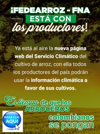 Banner fedearroz Casanare Online
