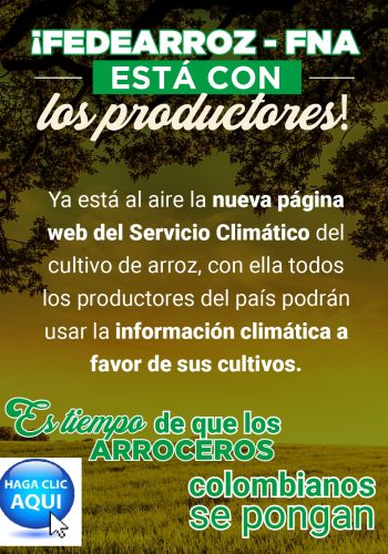 Banner fedearroz Casanare Online